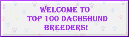The Top 100 Miniature Dachshund Breeders!